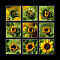Sonnenblume Collage 1
